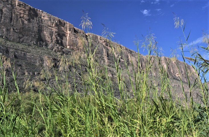 canyon wall